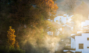 秋日晨雾中的乡村景致
