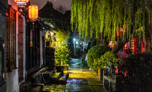 古巷夜景垂柳红灯相映
