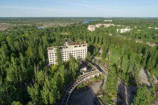 森林环绕中的建筑景观