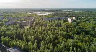 俯瞰葱郁森林与远处建筑