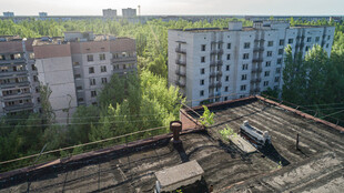 老旧居民区屋顶景象