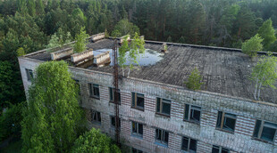 废弃楼房隐于葱郁树林中