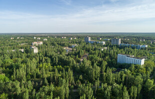 俯瞰葱郁森林中的建筑