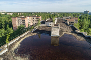 城市中河流旁的多样建筑