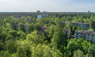 森林中的废弃建筑群