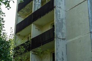 老旧楼房外墙及攀爬绿植