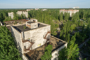 废弃建筑被绿植环绕