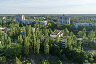 城市绿树环绕的建筑景观