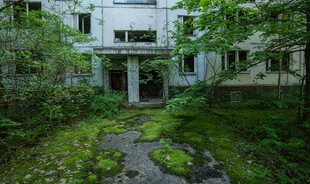 废弃房屋被绿植环绕
