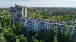 森林环绕的高层居民楼