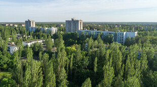 城市森林中的高楼景观