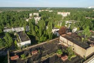 废弃厂区的绿植覆盖景象
