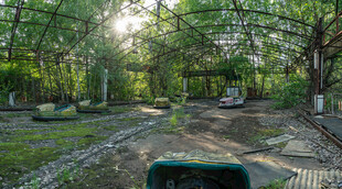 林间户外露营场景