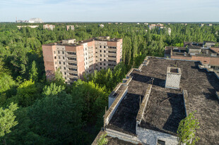 废弃建筑群隐于葱郁林间