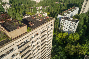 老旧居民楼与周边绿植景观