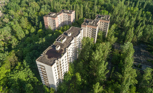 森林中的多层住宅楼