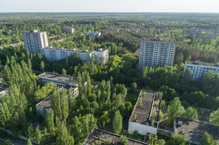 废弃城市中的绿植覆盖景象