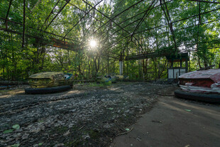 林间阳光洒落的静谧场景