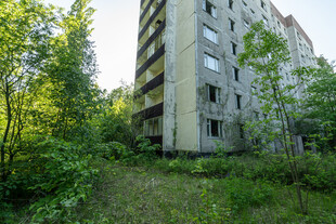 废弃楼房被绿植环绕