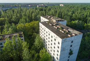 废弃高楼隐于葱郁树林中