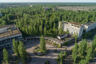 废弃建筑群被森林环绕