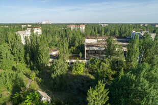 绿树环绕中的建筑景观