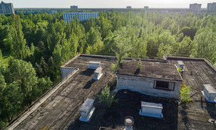 废弃屋顶上的绿植景观