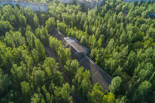 林间蜿蜒公路的鸟瞰景致