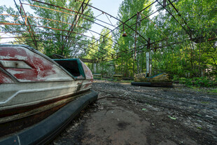 废弃汽车于繁茂树林中