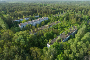 森林中的建筑群落