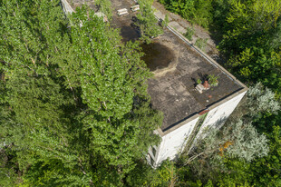 被绿植环绕的废弃房屋