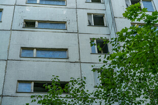 白色建筑旁的葱郁绿植