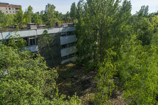 废弃建筑被绿植环绕