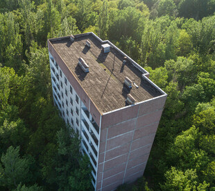 高楼矗立在葱郁树林间