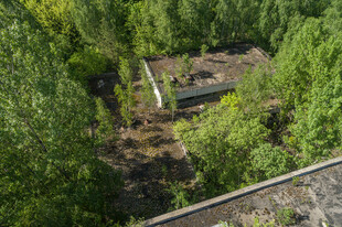 俯瞰林间空地与树木