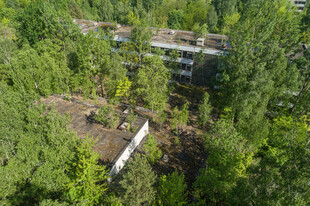 林中建筑俯瞰图