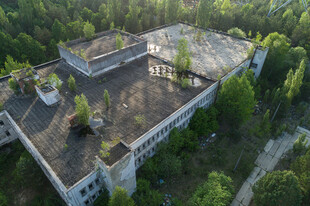 废弃建筑被绿植环绕