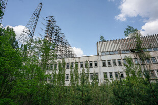 废弃建筑隐于繁茂树林中