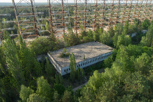 被绿植环绕的废弃建筑