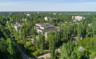 绿树环绕的建筑群