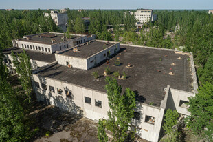 废弃建筑被绿植环绕