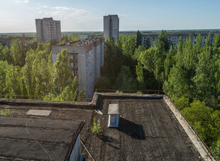 城市中废弃建筑与葱郁树林