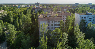 绿树环绕的居民建筑群