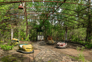 废弃丛林中的老旧游乐设施