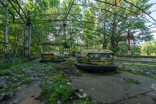 废弃丛林中的破旧车辆