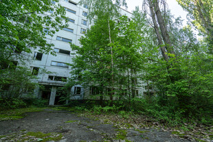 废弃建筑隐于葱郁树林