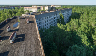 废弃楼房被绿树环绕