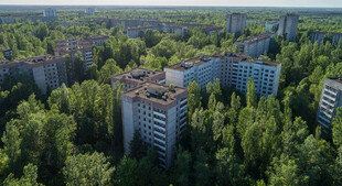 森林环绕的城市建筑群