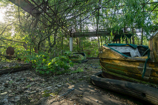 林间木船的静谧自然景象