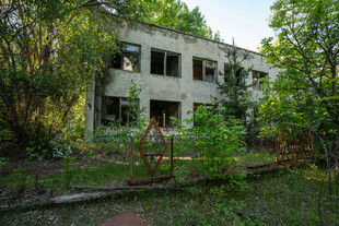 废弃房屋被绿植环绕